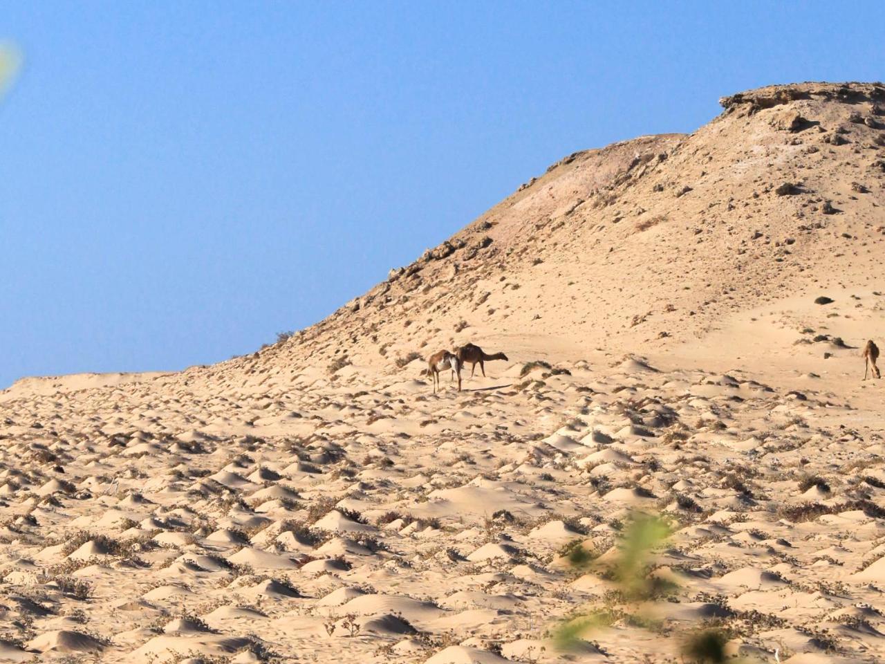 Отель Dakhla Kitesurf World Экстерьер фото